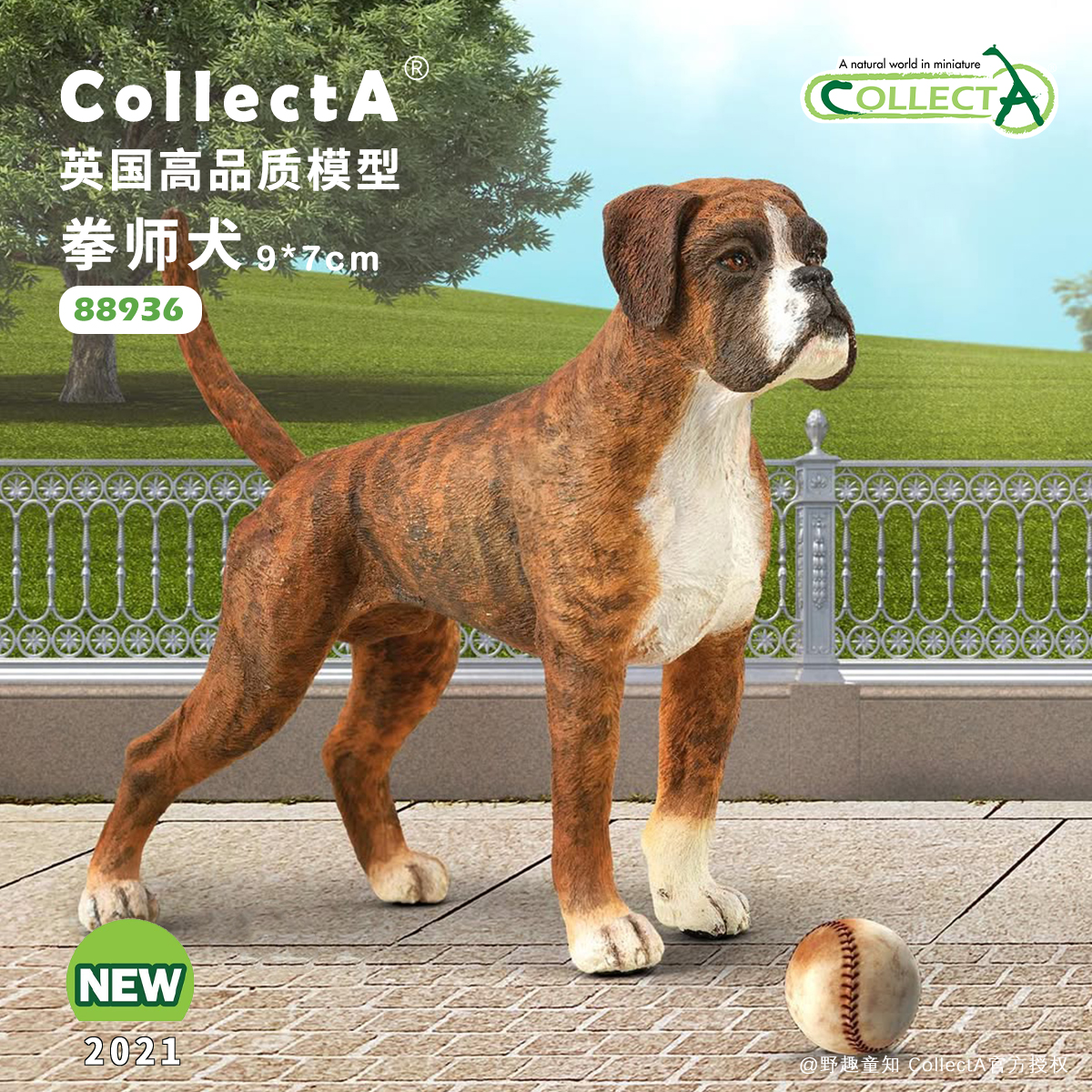 CollectA拳师犬动物模型玩具