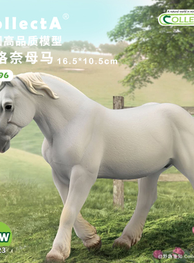 【88996布洛奈母马-灰色】CollectA官方授权正版动物模型