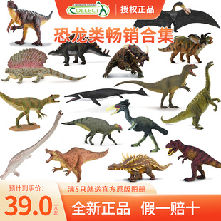 【顺丰包邮】英国CollectA实心仿真动物模型玩具霸王三角翼恐龙