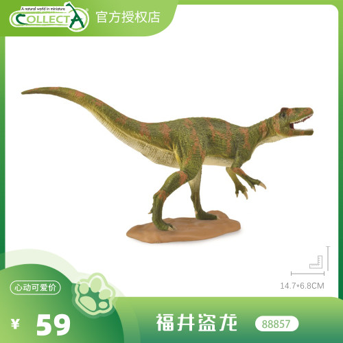 【88857福井盗龙】CollectA动物模型儿童仿真玩具早教礼物宝宝