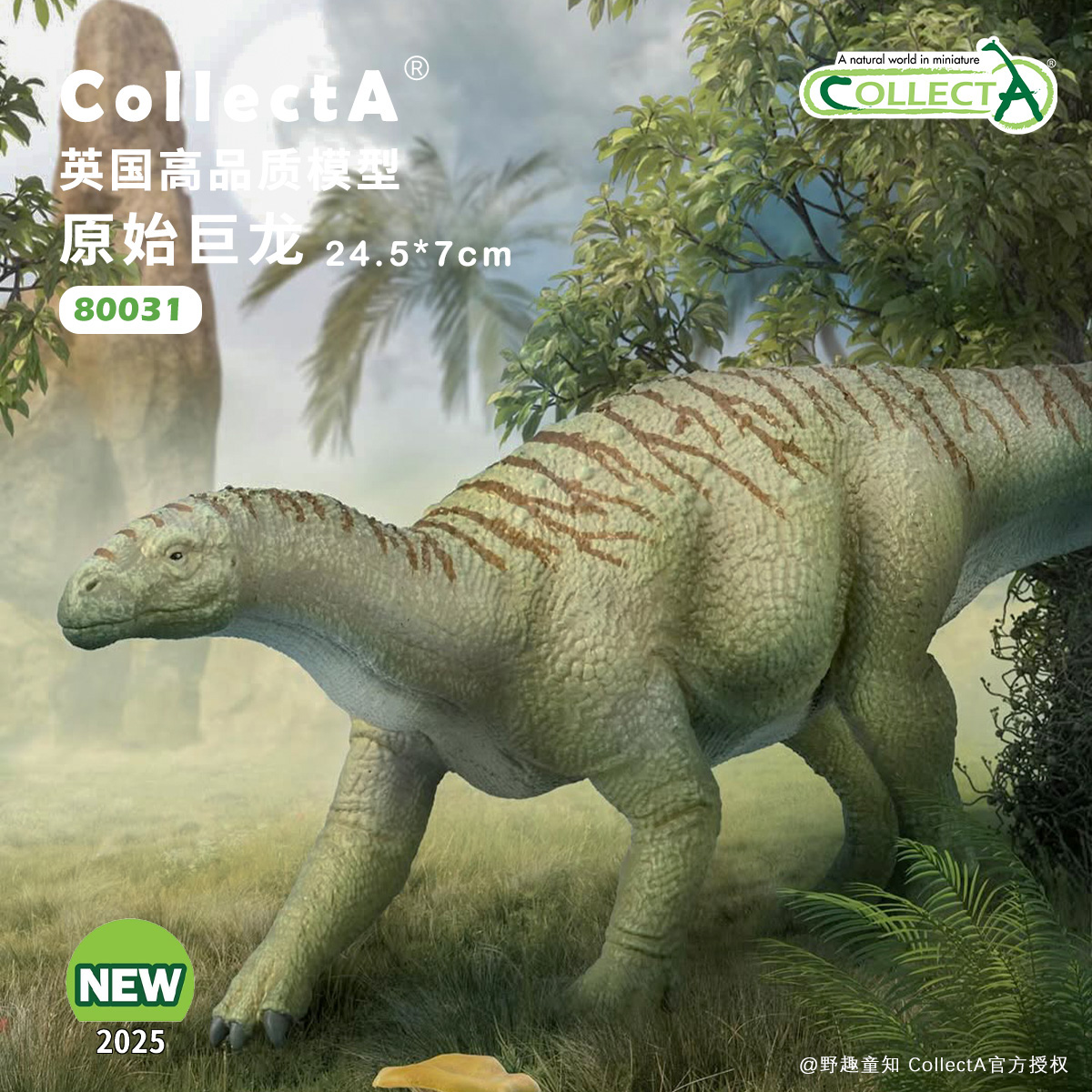 现货【80031原始巨龙1:40】CollectA仿真动物模型玩具2025