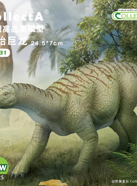 现货【80031原始巨龙1:40】CollectA仿真动物模型玩具2025