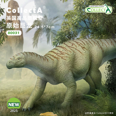 现货【80031原始巨龙1:40】CollectA仿真动物模型玩具2025