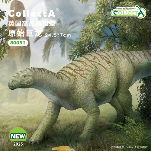 现货【80031原始巨龙1:40】CollectA仿真动物模型玩具2025