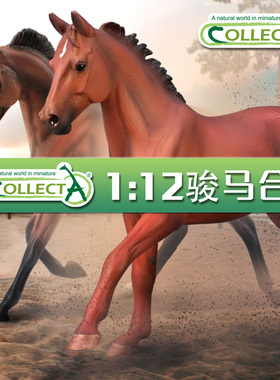 【1:12骏马模型】CollectA官方授权正版动物模型早教玩具豪华版