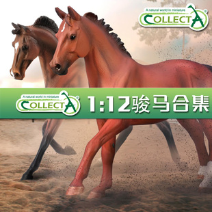 【1:12骏马模型】CollectA官方授权正版动物模型早教玩具豪华版