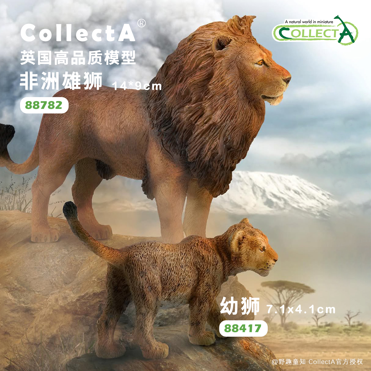 CollectA非洲狮动物模型玩具