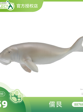 【88766儒艮】CollectA官方授权正版动物模型早教玩具