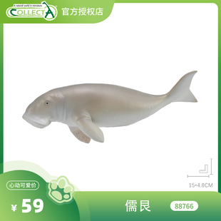 【88766儒艮】CollectA官方授权正版动物模型早教玩具