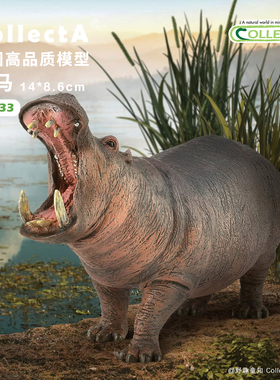 顺丰包邮【88833河马】CollectA官方授权正版动物模型早教玩具