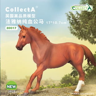 【80017法雅纳纯血公马-板栗色】CollectA官方授权正版动物模型