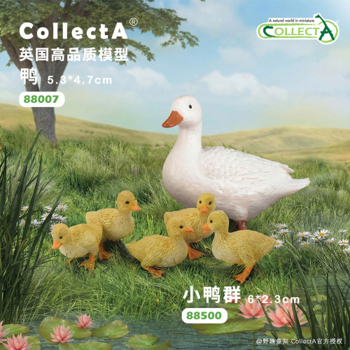 【鸭/小鸭群】CollectA官方授权正版动物模型