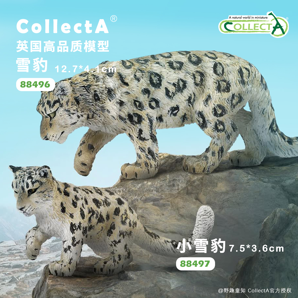 CollectA雪豹动物模型玩具