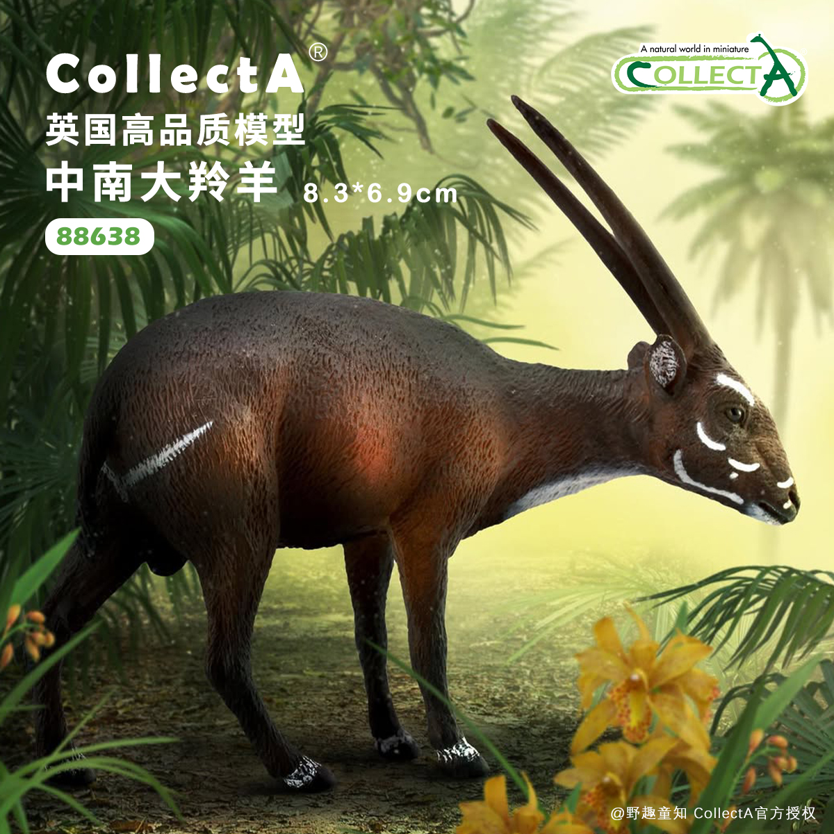 CollectA中南大羚羊动物模型