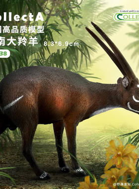 【88640中南大羚羊】CollectA官方授权正版动物模型早教玩具