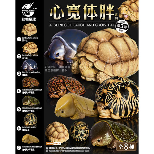 动物星球心宽体胖系列第3弹