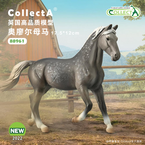 CollectA奥廖尔母马动物模型玩具