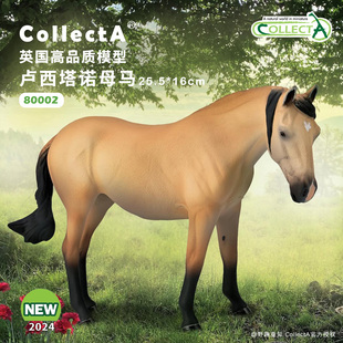 【80042卢西塔诺母马】2025CollectA仿真动物模型玩具马玩具