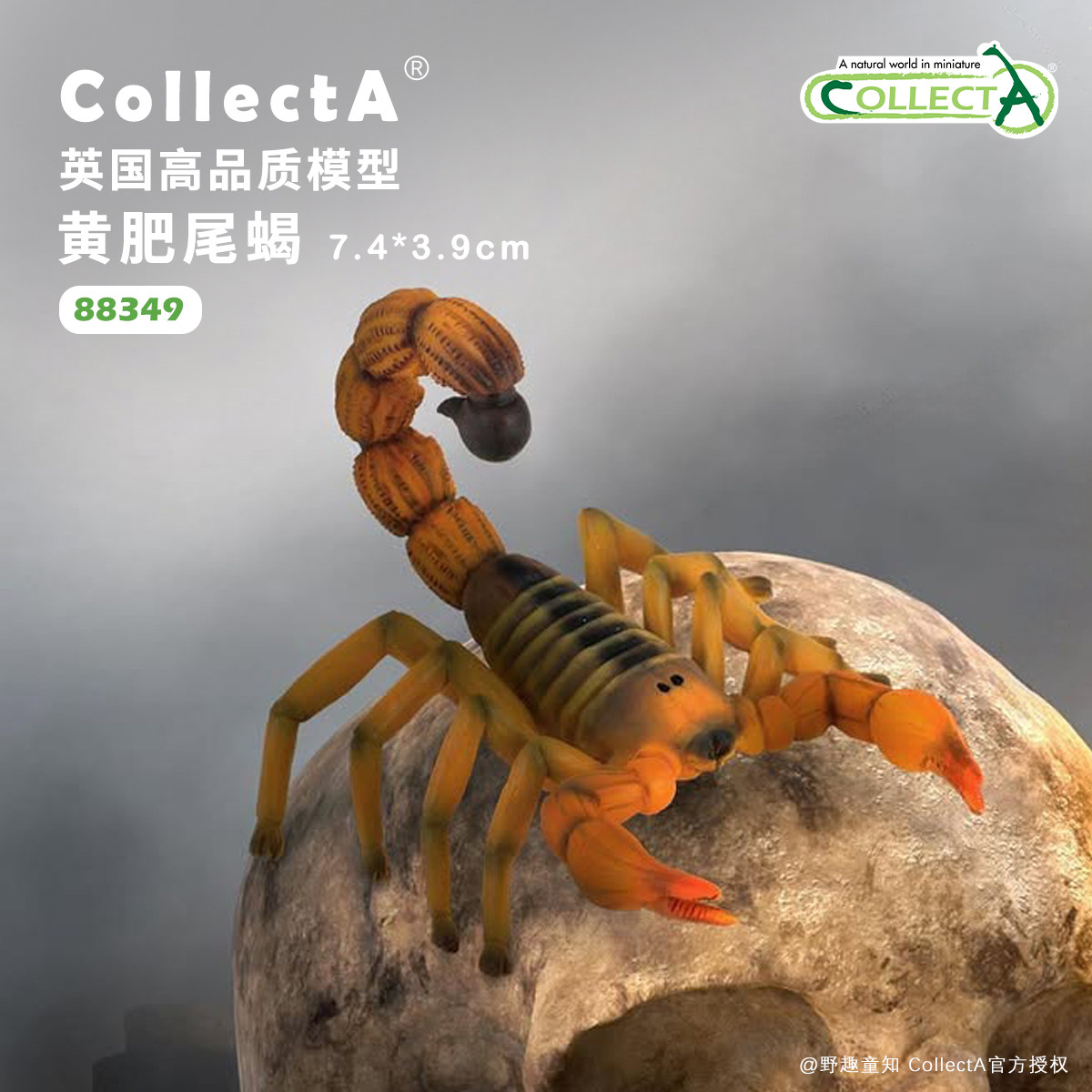CollectA黄肥尾蝎动物模型玩具