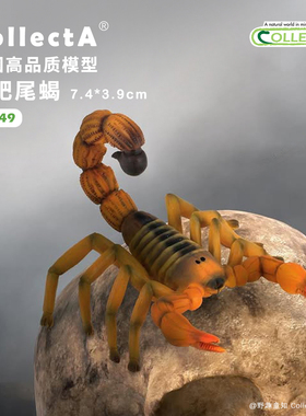 【88349黄肥尾蝎】CollectA我你他官方授权正版动物模型早教玩具