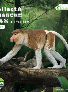 【80014长鼻猴】英国CollectA我你他官方授权正版动物模型