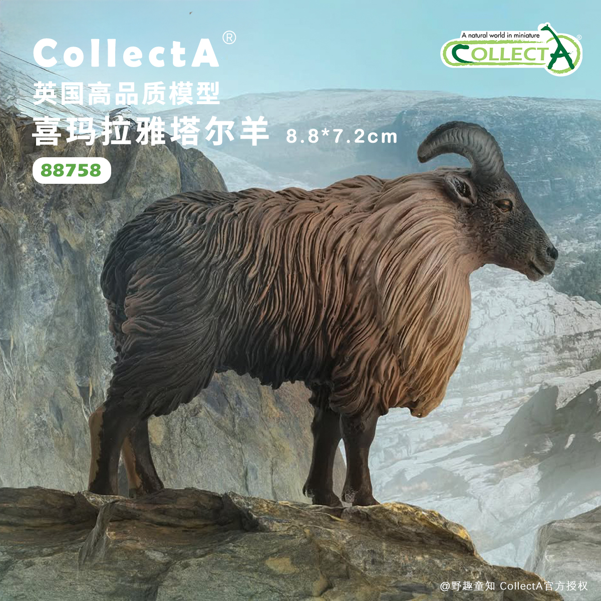 喜玛拉雅塔尔羊CollectA动物模型