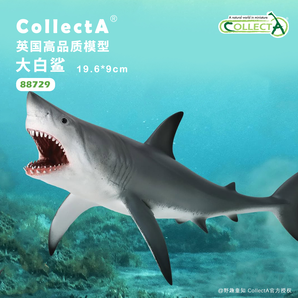 CollectA大白鲨动物模型玩具