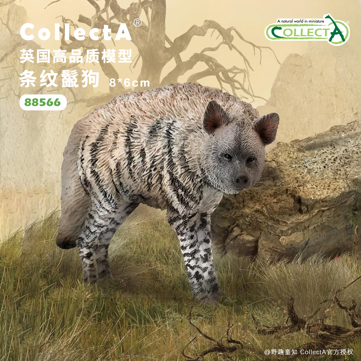 CollectA条纹鬣狗动物模型玩具