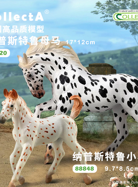 【88793落几山脉马】2025CollectA仿真动物模型玩具马玩具