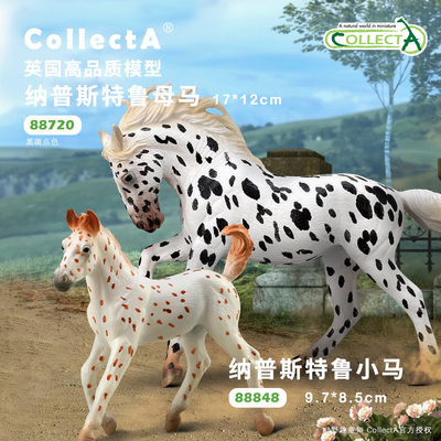 【88793落几山脉马】2025CollectA仿真动物模型玩具马玩具
