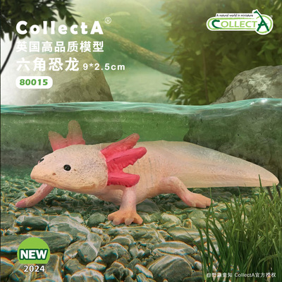 CollectA六角恐龙动物模型玩具