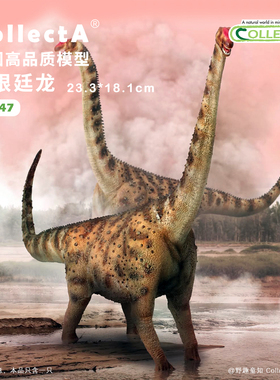 【88547阿根廷龙】CollectA我你他官方授权正版动物模型早教玩具