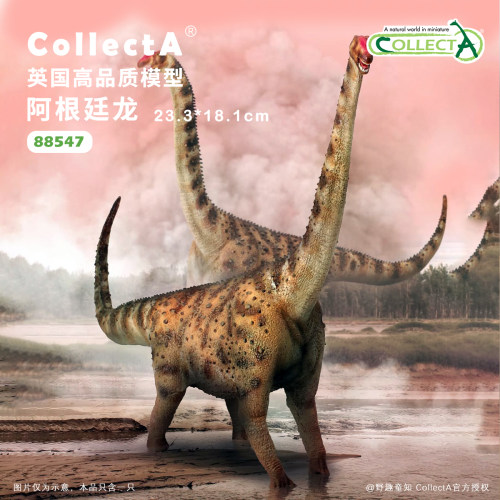 【88547阿根廷龙】CollectA我你他官方授权正版动物模型早教玩具