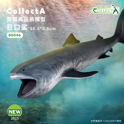 CollectA巨口鲨动物模型玩具