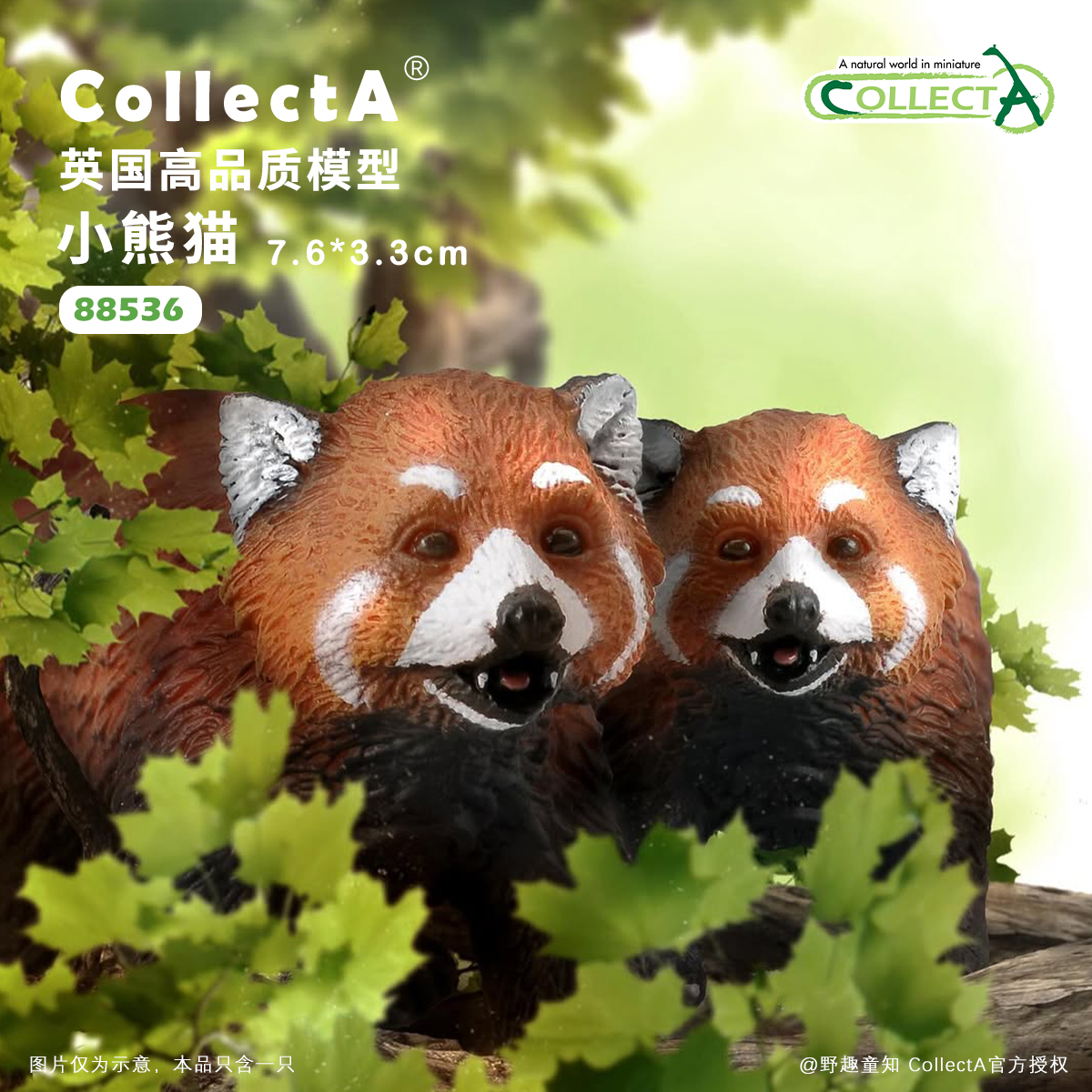 【88536小熊猫】CollectA官方授权正版动物模型早教玩具