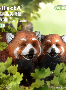 【88536小熊猫】CollectA官方授权正版动物模型早教玩具