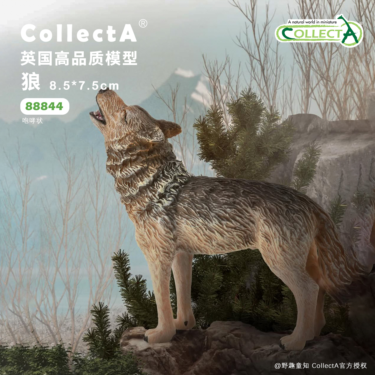 【88844狼(咆哮)88845 狼(猎食)】CollectA官方授权正版动物模型