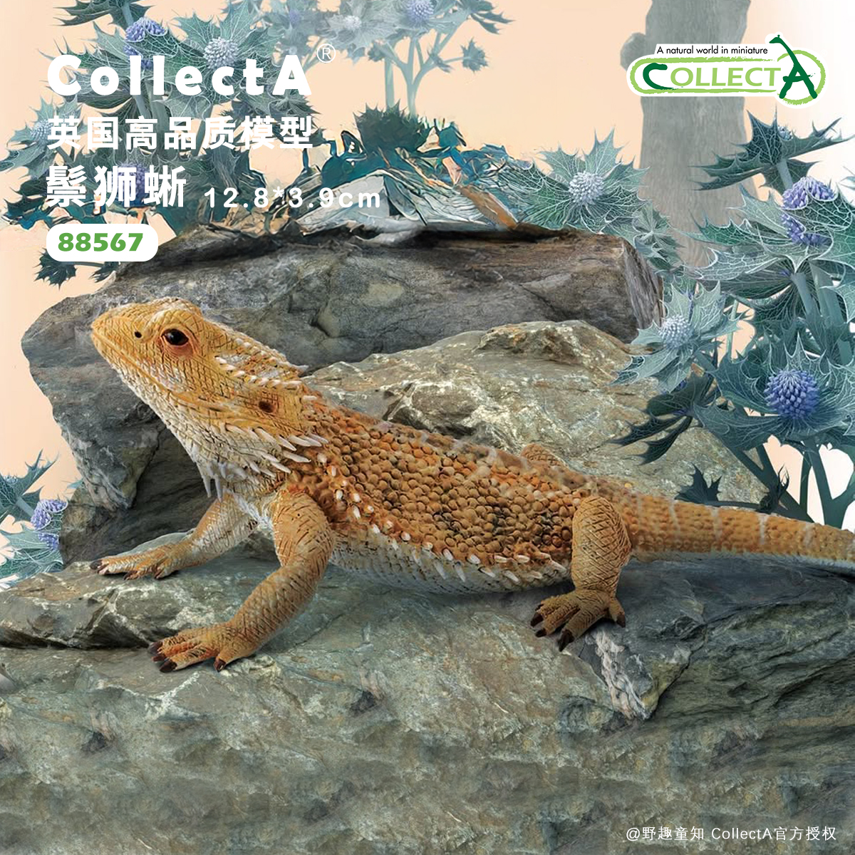 CollectA鬃狮蜥动物模块性玩具