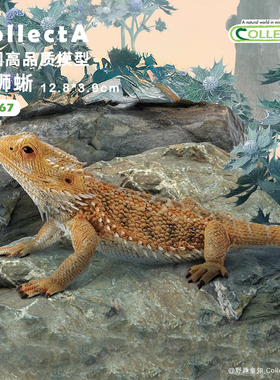【88567松狮蜥】CollectA官方授权正版动物模型早教玩具鬃狮