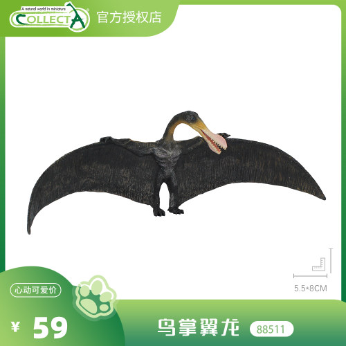 【88511鸟掌翼龙】CollectA动物模型儿童仿真玩具早教礼物宝宝