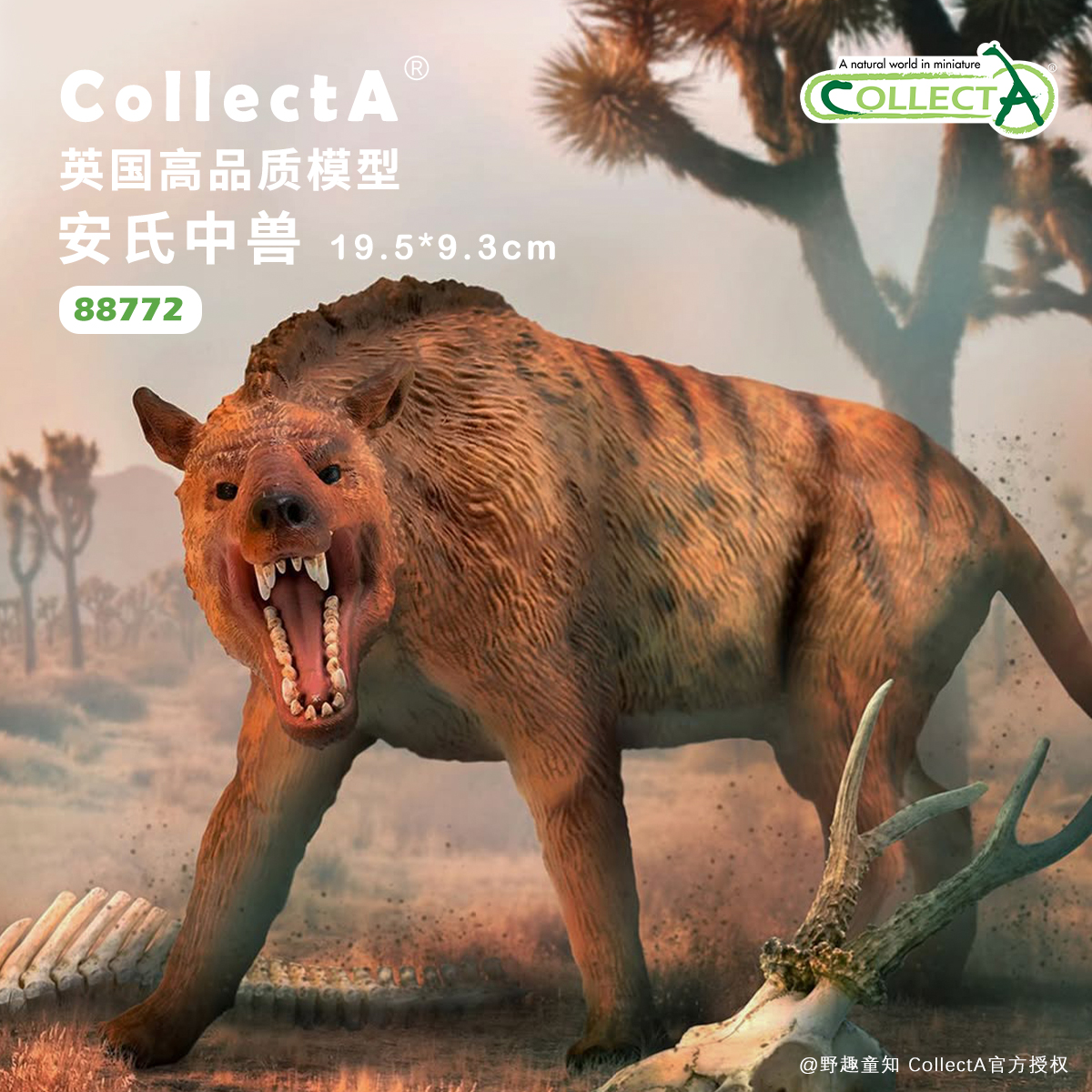 【88772安氏中兽】CollectA仿真动物模型玩具古兽公仔科普收藏