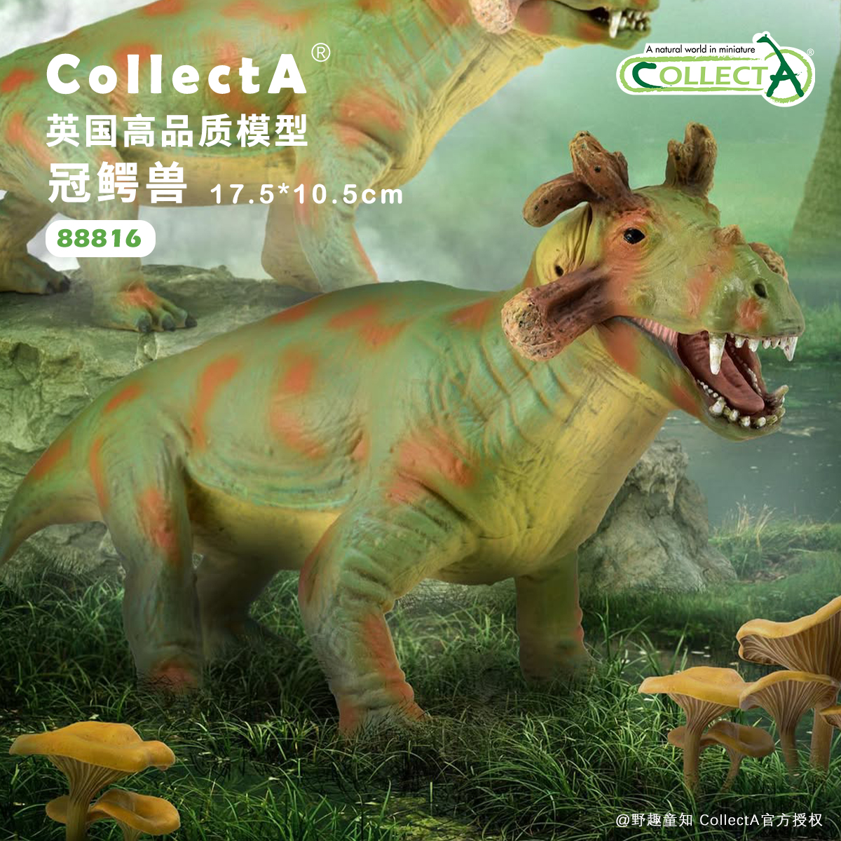 CollectA冠鳄兽动物模型玩具