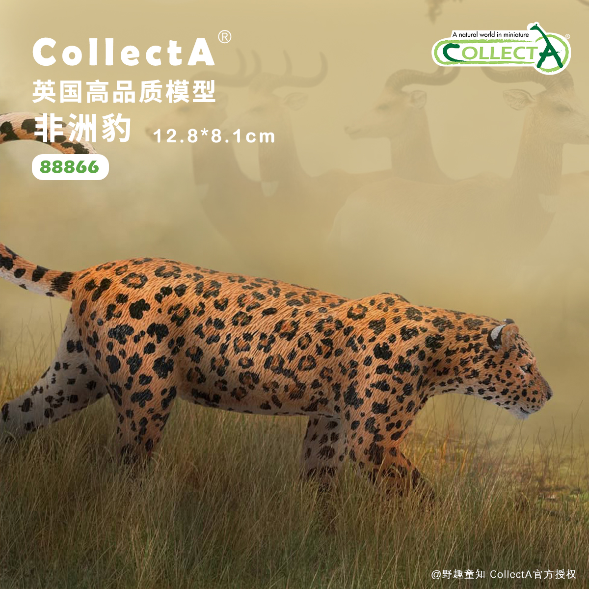 CollectA非洲豹动物模型玩具