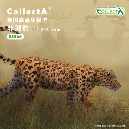 CollectA非洲豹动物模型玩具