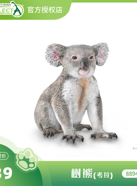 【88940树熊】CollectA官方授权正版动物模型早教玩具考拉澳洲