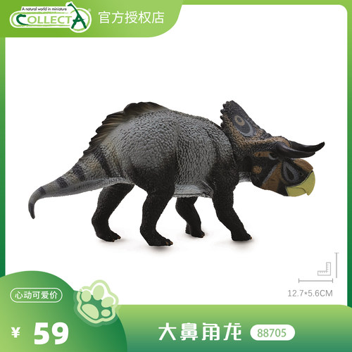 【88705大鼻角龙】CollectA动物模型儿童仿真玩具早教礼物宝宝