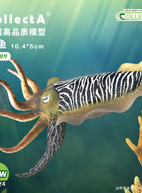 【80009墨鱼】CollectA官方授权正版动物模型早教玩具