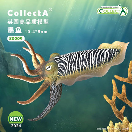 【80009墨鱼】CollectA官方授权正版动物模型早教玩具