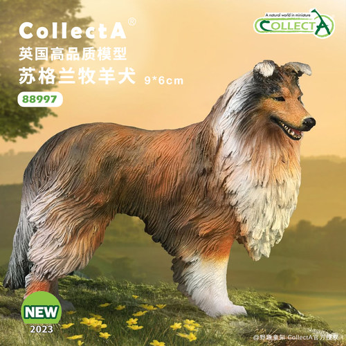 【88997苏格兰牧羊犬】CollectA官方授权正版动物模型