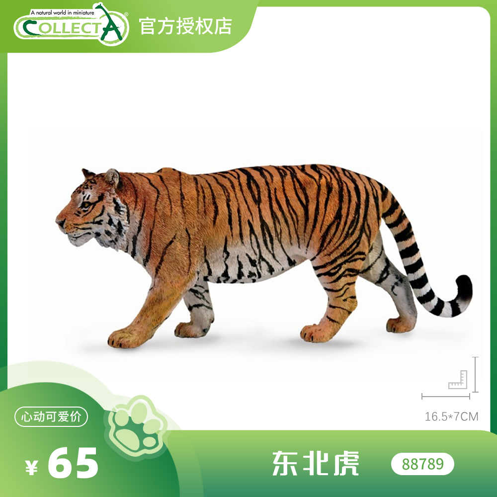【白虎/东北虎】CollectA官方授权正版动物模型早教玩具